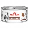 Ração Úmida Lata Recovery da Royal Canin Veterinary para Cães e Gatos - 195 g